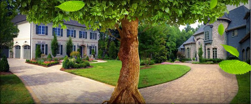 Brockman Tree & Lawn Care image 10