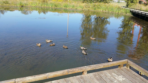 Park «Scioto Audubon Metro Park.», reviews and photos, 400 W Whittier St, Columbus, OH 43215, USA