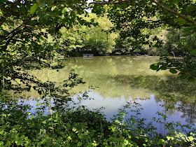 Dättwiler Weiher