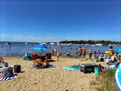 Fotografie cu Haines Beach zonă sălbatică