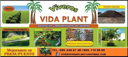 VIVEROS VIDA PLANT