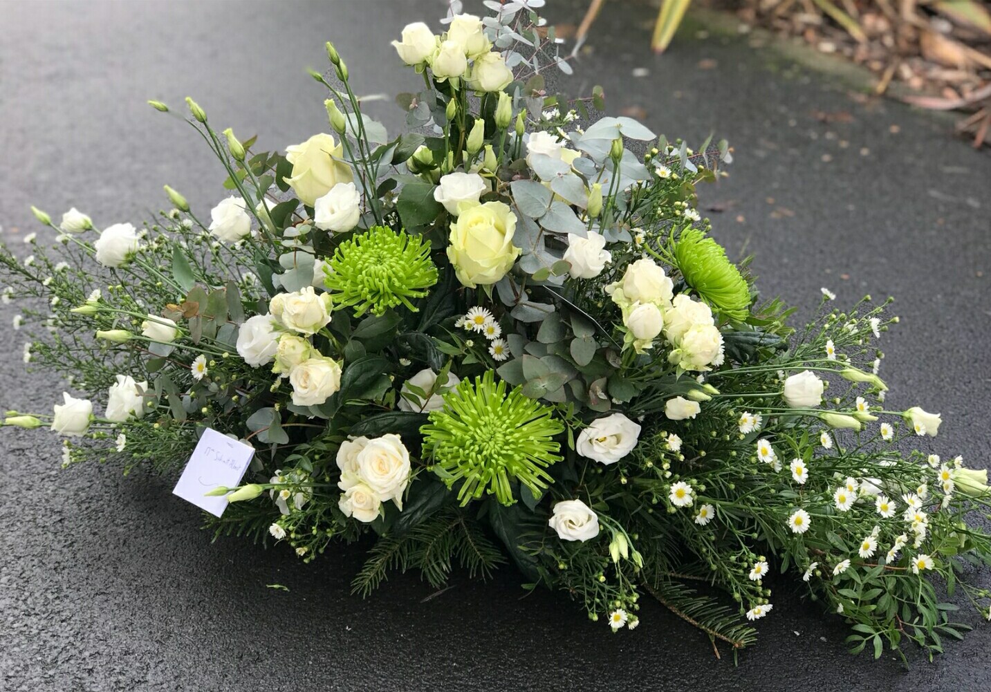 Photo n° 1 de l'avis de Lemon.o fait le 23/01/2018 à 14:53