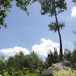 Photo n° 8 de l'avis de Elise. fait le 23/06/2022 à 11:44 pour Domaine de Chaumont-sur-Loire à Chaumont-sur-Loire