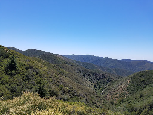 Upper Holy Jim Trail