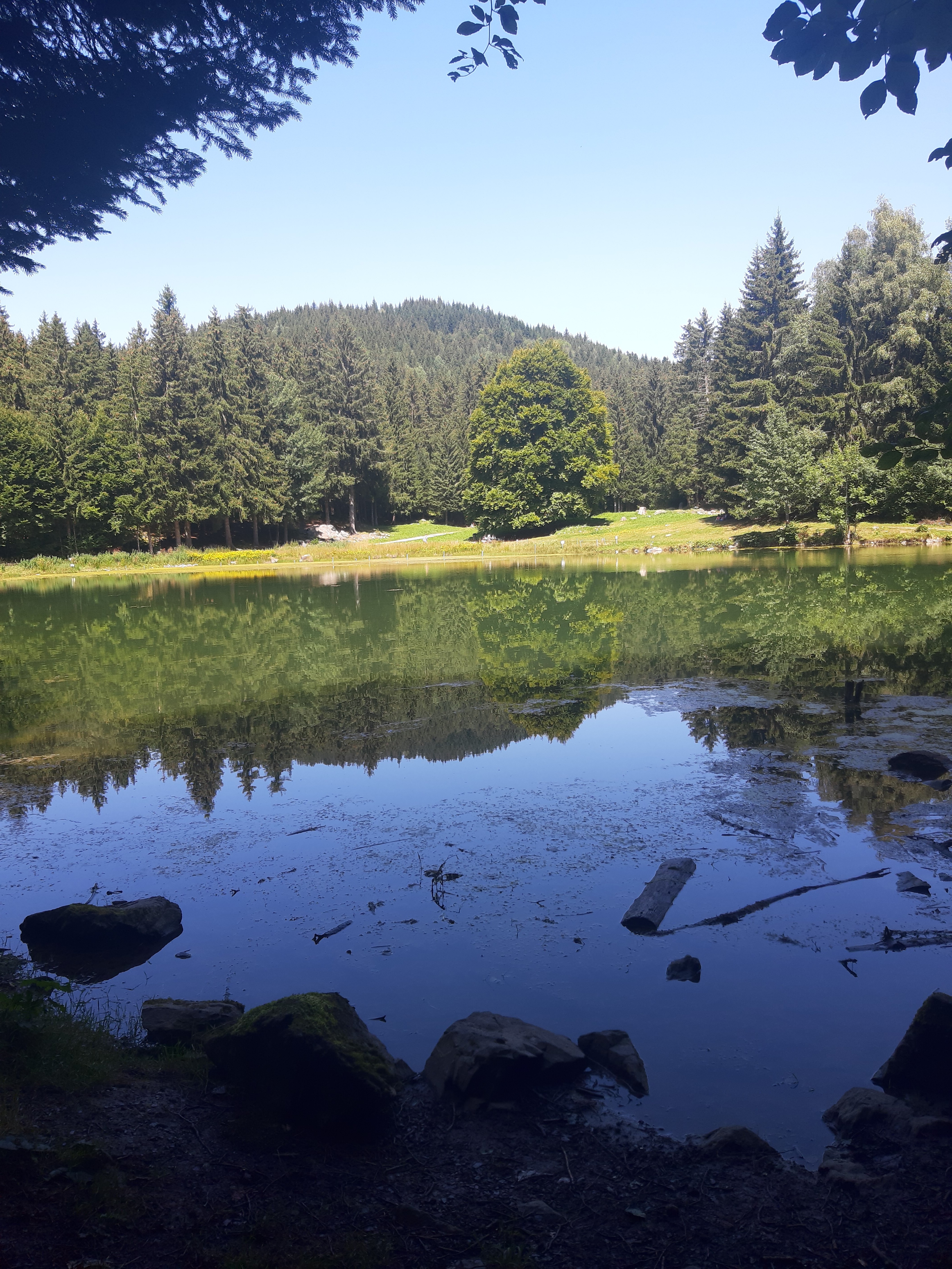 Photo n° 4 de l'avis de Véronique.r fait le 27/08/2021 à 19:49