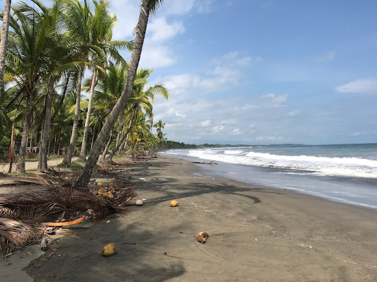 Playa Esterillos