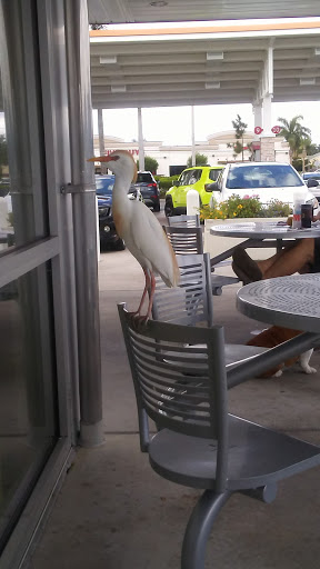 Gas Station «Wawa», reviews and photos, 12701 S Cleveland Ave, Fort Myers, FL 33907, USA