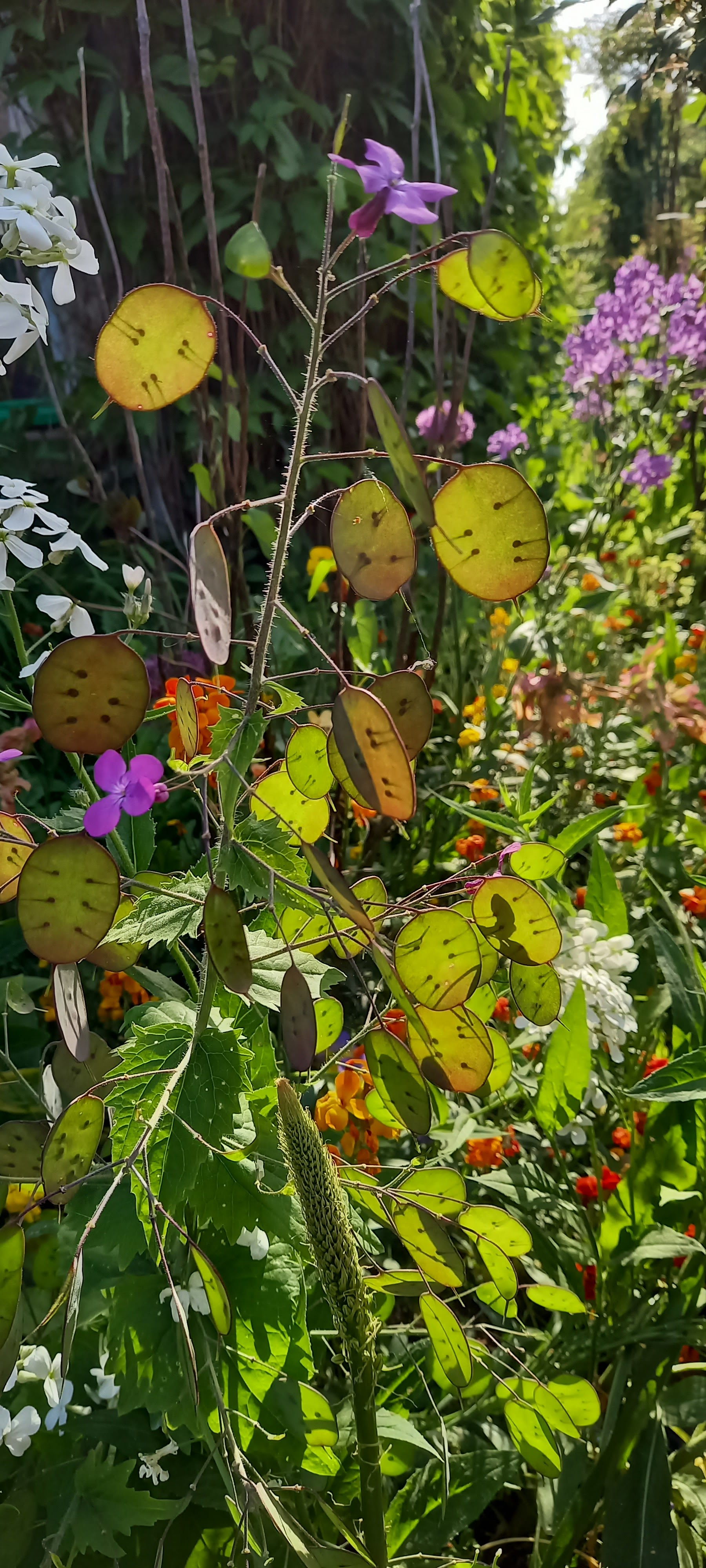 Photo n° 3 de l'avis de Gweyvan.r fait le 21/05/2023 à 19:47