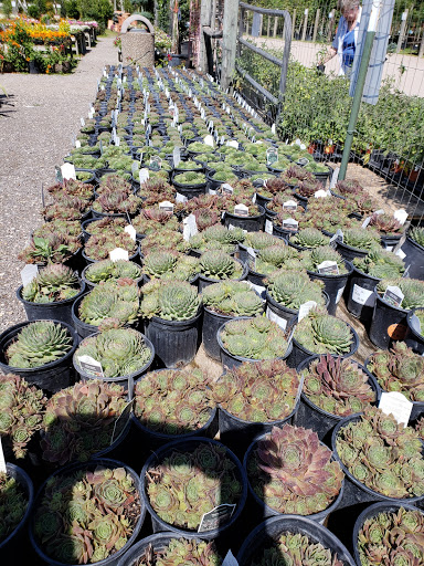 Plant Nursery «HOUSTON PLANTS & GARDEN WORLD», reviews and photos, 16726 North Fwy, Houston, TX 77090, USA