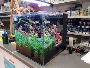 Photo n°5 de H2O Aquarium et bassin à Amiens ()