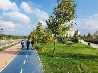 Kurtköy Şehir Parkı