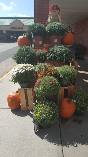 Supermarket «Big Y», reviews and photos, 141 Storrs Rd, Mansfield Center, CT 06250, USA