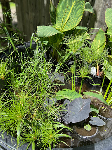 Gift Shop «Pondering Creations Farm», reviews and photos, 101 Allen St, Terryville, CT 06786, USA