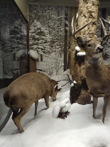 Opera House «Civic Opera House», reviews and photos, 20 N Wacker Dr # 400, Chicago, IL 60606, USA