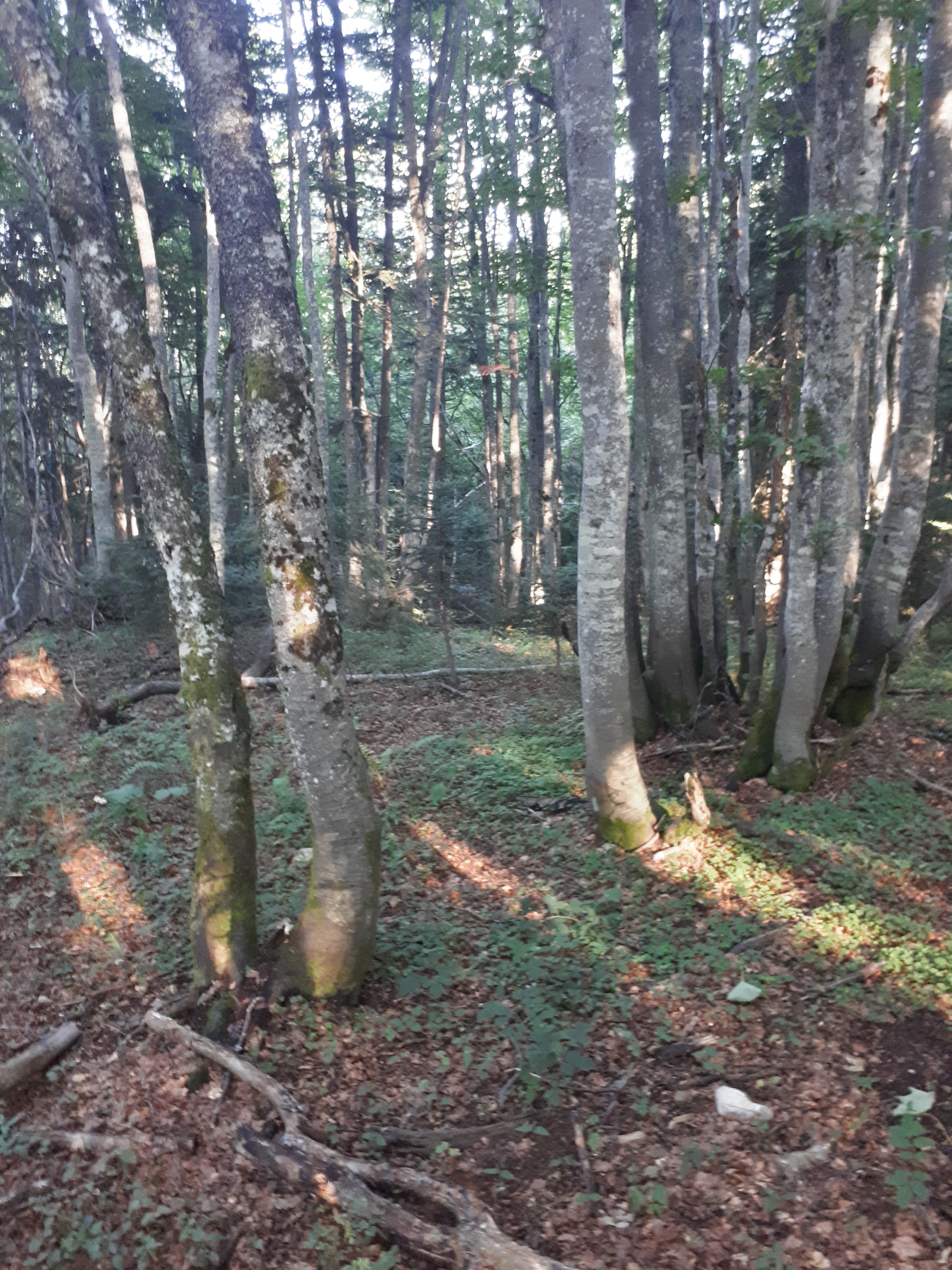 Photo n° 6 de l'avis de François.o fait le 14/08/2017 à 17:38
