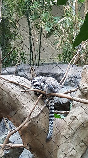 Gift Shop «Minnesota Zoo Gift Shop», reviews and photos, 13000 Zoo Blvd, Apple Valley, MN 55124, USA