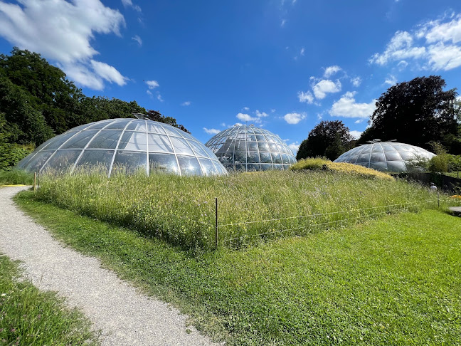 Tropenhäuser im Botanischen Garten der Universität Zürich