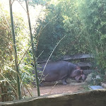 Photo n° 13 de l'avis de Marina. fait le 23/07/2022 à 18:06 pour Zoo de La Flèche à La Flèche