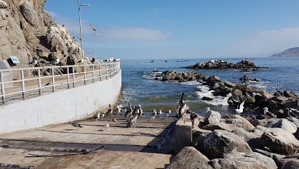 Camping Caleta Pan de Azúcar