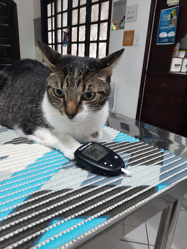 Clínica Veterinária Franciscão em São Vicente - SP