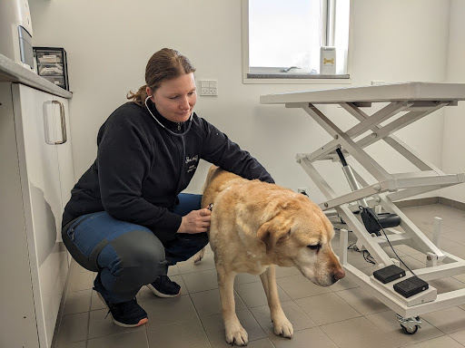 Vet til dig - Dyrlæge i Ringsted in Ringsted, Ringsted