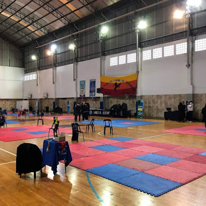 Instituto Pul Yiang Be (Taekwondo ITF) - Sede Acebal