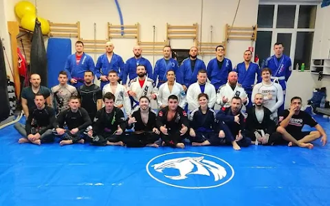 (BJJ)Brazilian Power Team (BPT) Romania Cluj-Napoca Jiu Jitsu Academy image