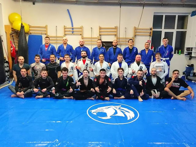 (BJJ)Brazilian Power Team (BPT) Romania Cluj-Napoca Jiu Jitsu Academy