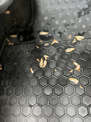 Car Wash «Auto Spa», reviews and photos, 2232 State Hill Rd, Reading, PA 19610, USA