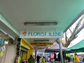 Florist Ilene - Florists Hamilton