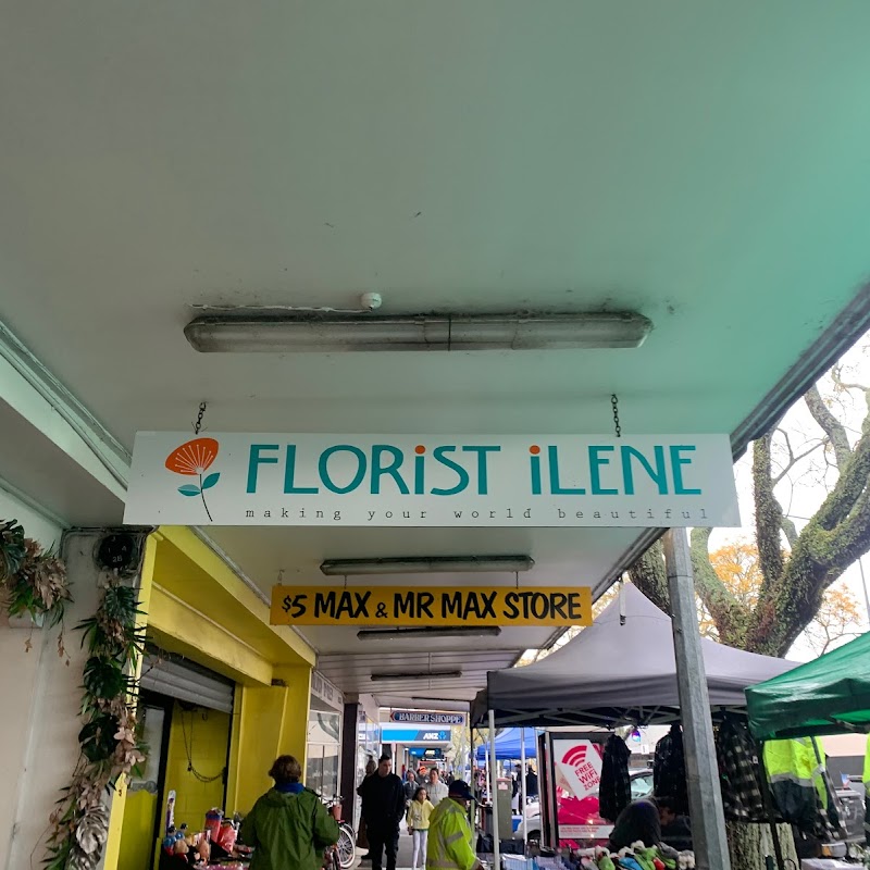 Florist Ilene - Florists Hamilton