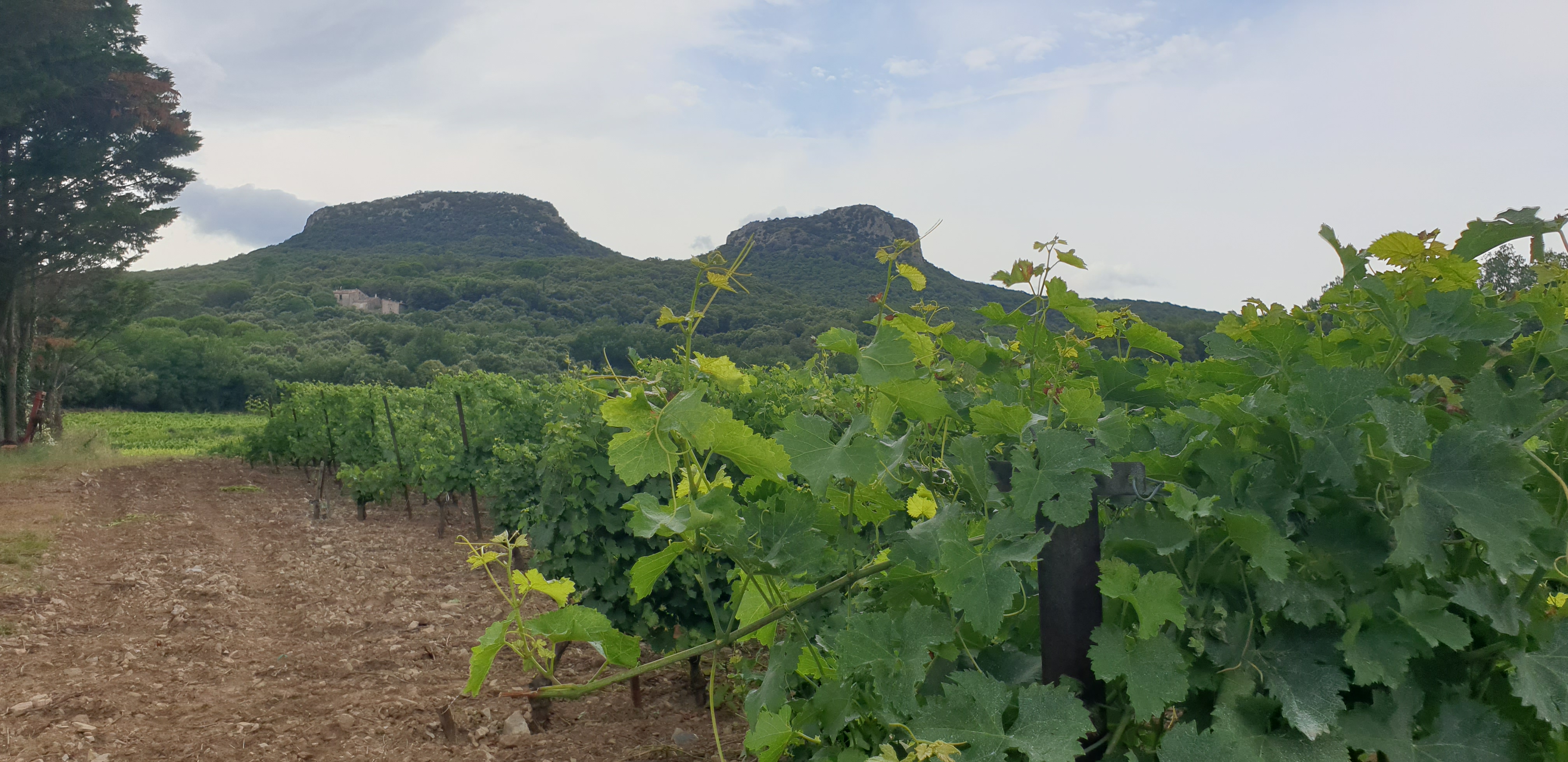 Photo n° 4 de l'avis de Pierre.a fait le 13/07/2021 à 17:24