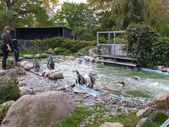 Kommentarer og anmeldelser af Guldborgsund Zoo & Botanisk Have