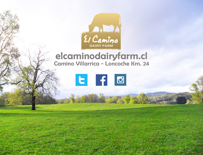 Opiniones de El Camino Dairy Farm en Loncoche - Supermercado