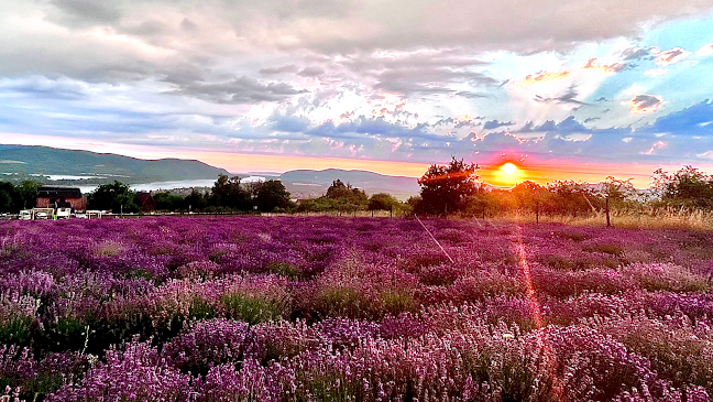 Hozzászólások és értékelések az Natura Hill Vendégház és Étterem-ról