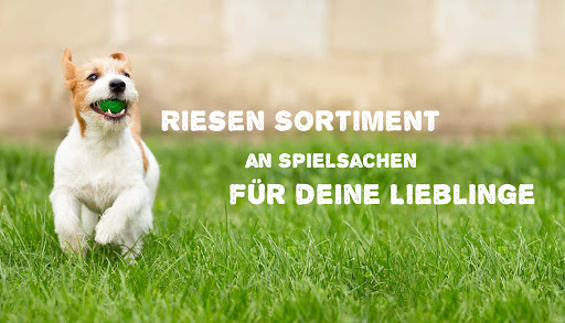 Spielzeug für dein Lieblingstier unter Neustadt, 
