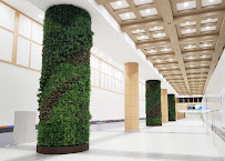 Cortiça Garden | Cork Living Walls - Photo 3 - Car repair in , San Diego