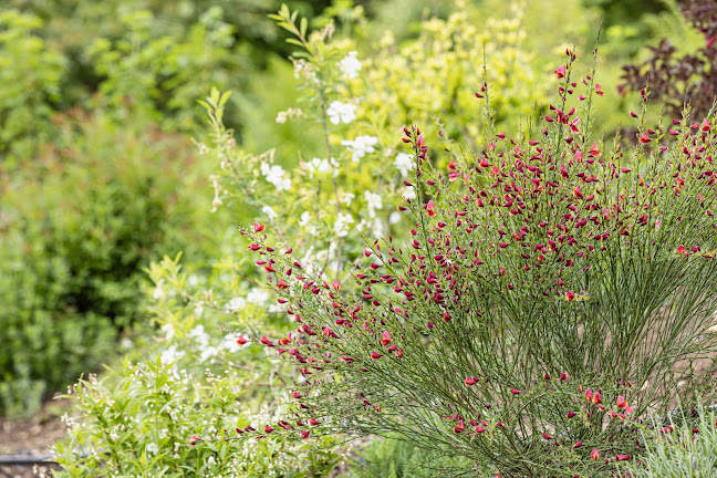 Löw Gärten AG - Gartenbauer