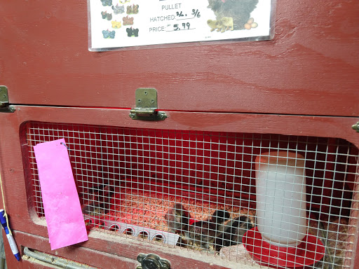 Pet Store «Douglas Feed & Pet Supply», reviews and photos, 5460 Douglas Blvd, Granite Bay, CA 95746, USA