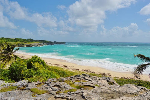 Long Bay photo #3