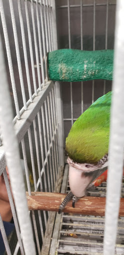 Pet Store «El Granero Pet Shop», reviews and photos, 15700 Atlantic Ave, Compton, CA 90221, USA