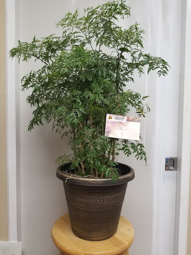 Florist «Yorba Linda Flowers», reviews and photos, 909 E Yorba Linda Blvd h, Placentia, CA 92870, USA