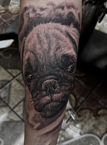 Explore snake sleeve tattoo ideas, creative tattoo ideas in Sunnyvale, available at Da Wei Tattoo Inc