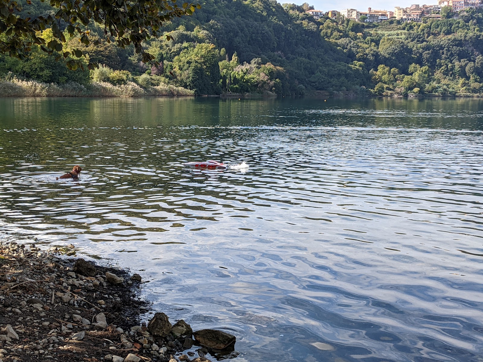 Spiaggia Lago di Nemi'in fotoğrafı - tatil için iyi evcil hayvan dostu nokta