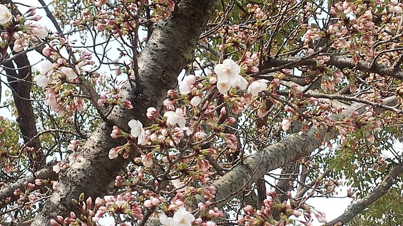 片山三丁目公園