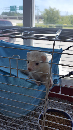 Pet Supply Store «Coastline Pet Supply», reviews and photos, 3530 Northgate Dr, Myrtle Beach, SC 29588, USA