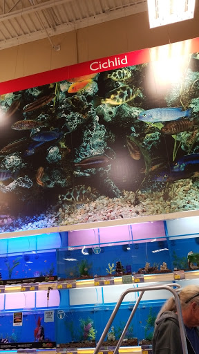 Pet Supply Store «PetSmart», reviews and photos, 534 US-441, Lady Lake, FL 32159, USA