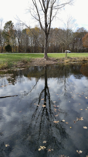 Tourist Attraction «Caesar Creek Visitor Center», reviews and photos, 4020 N Clarksville Rd, Waynesville, OH 45068, USA