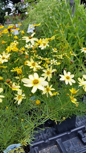 Kimrik Garden Center, 1135 Beaver Valley Pike, Lancaster, PA 17602, USA, 