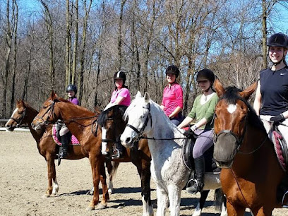 St Laurent Dressage | Equestrian Center Verchères